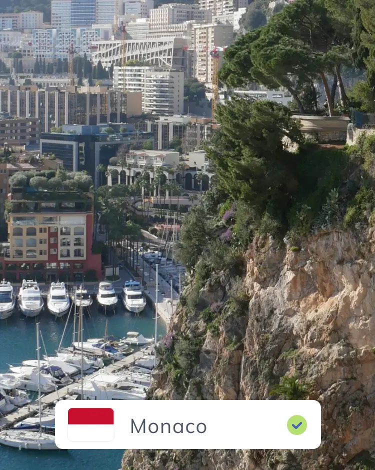 A high-angle view of Monaco, showing a marina filled with boats at the base of a cliff, with densely packed city buildings rising up the hillside behind it under a bright sky.
